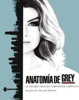 Anatomía de Grey saison 13