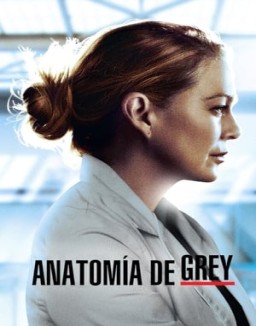 Anatomía de Grey saison 17