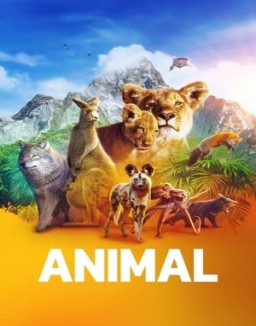 Animal saison 1