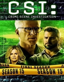 CSI: Las Vegas saison 15