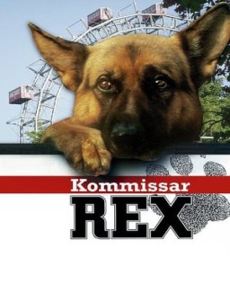 Rex, un policía diferente